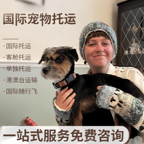 大同市国际宠物托运到阿根廷宠物入境规定和要