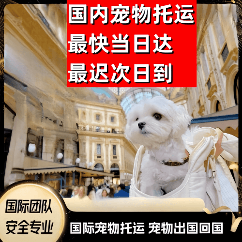 大同市到澳大利亚（澳洲）宠物入境规定和要求