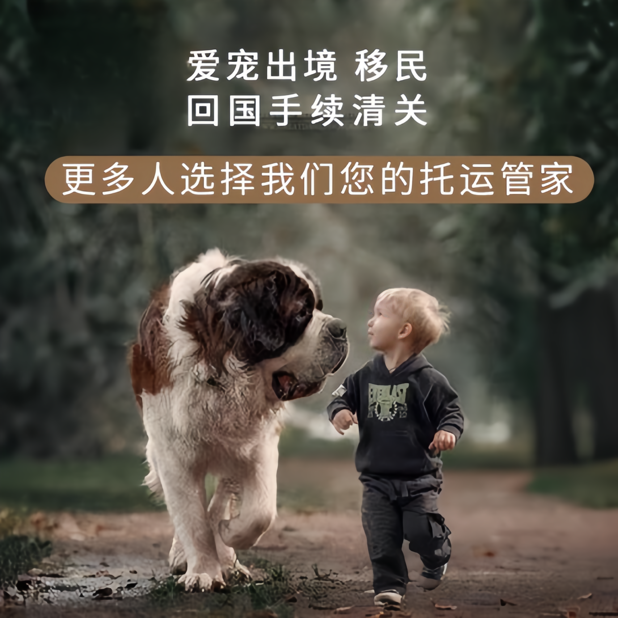 满财大同市宠物全球达宠物托运在遵守入境目的地政策的条件