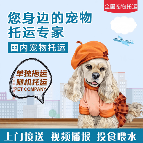 满财大同市宠物全球达宠物托运作为专业的宠物运输代理机构